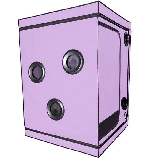SECRET DOME - KINK CLUB CABINA SCANDALE MORADO