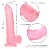 CALEXOTICS – SIZE QUEEN