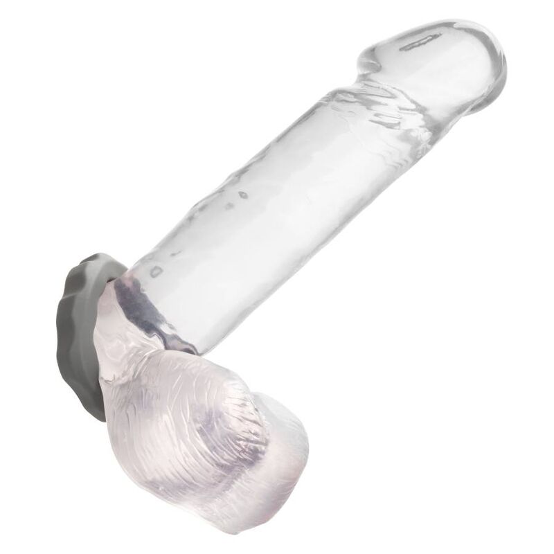 CALEXOTICS – ALPHA ERECT