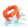 CALEXOTICS – ALPHA ALL
