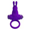 PRETTY LOVE – VIBRATOR