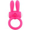 ARMONY – MR BUNNY