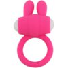 ARMONY – MR BUNNY