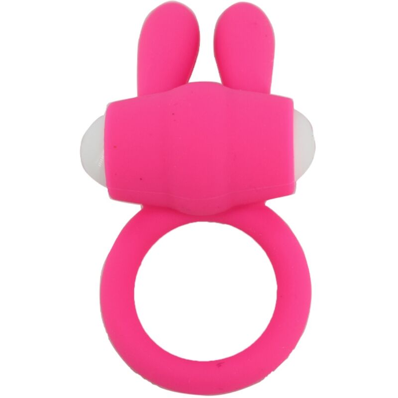 ARMONY – MR BUNNY