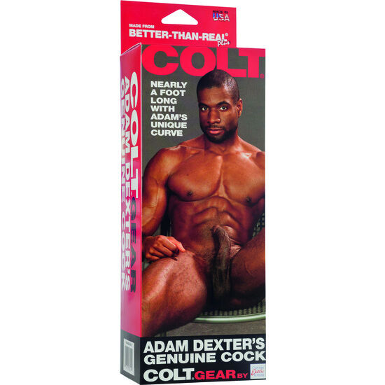 CALEXOTICS – COLT ADAM