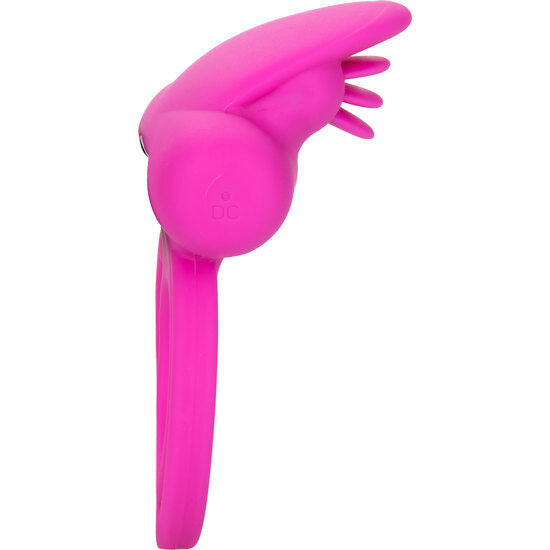 CALEXOTICS – DUAL CLIT