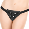 X RAY – HARNESS