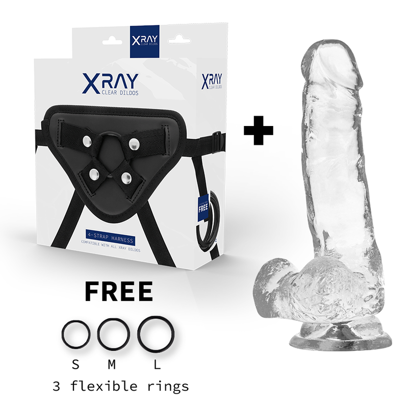 X RAY – HARNESS