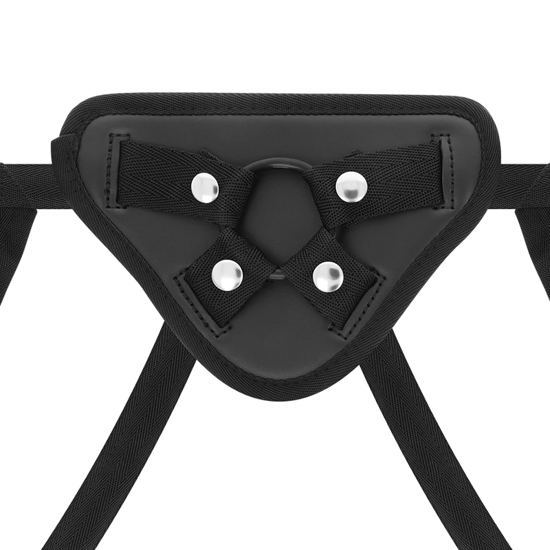 X RAY – HARNESS