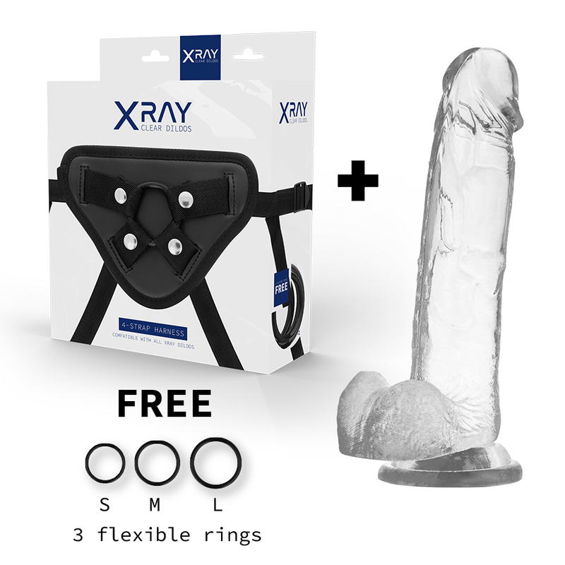 X RAY – HARNESS