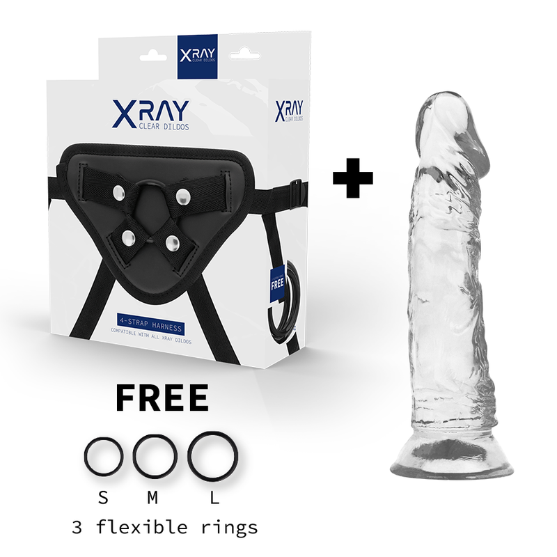 X RAY – HARNESS