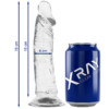 X RAY – HARNESS